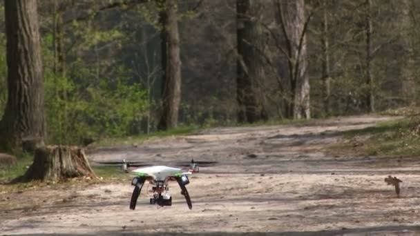 Kleine copter drone glad vlieg in hout — Stockvideo