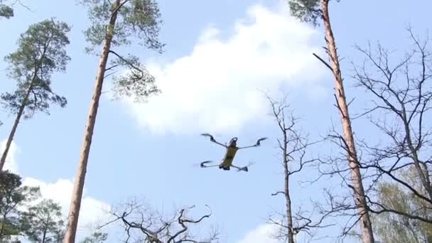 Небольшая беспилотник гладкая муха в лесу — стоковое видео