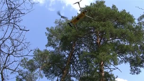 Kleine Copter-Drohne fliegt sanft im Holz — Stockvideo