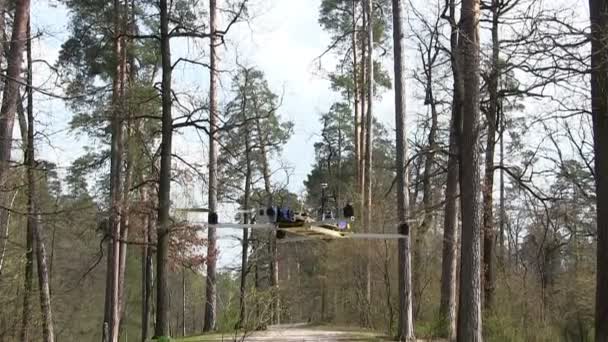 Kleine Copter-Drohne fliegt sanft im Holz — Stockvideo