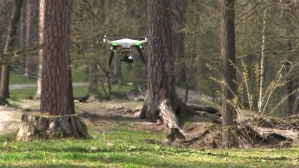 Mici drone copter zboară neted în lemn — Videoclip de stoc