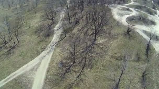 Vlucht over bomen zonder bladeren. Luchtfoto — Stockvideo