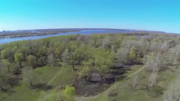 Пейзаж з полем, деревом і річкою. Повітряний красивий політ — стокове відео