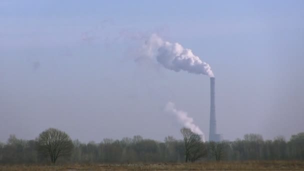 Veld in de winter en een pijp met een rook. PAL time-lapse — Stockvideo