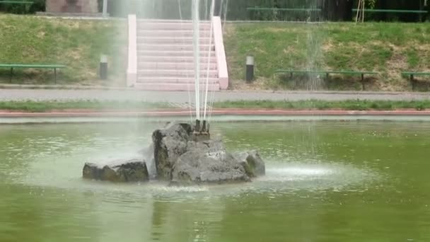 Fountain in park — Stock Video