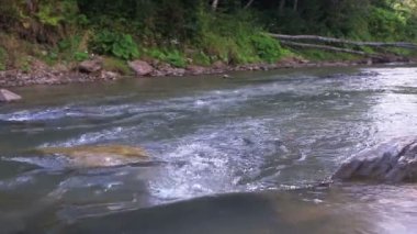 Taşlar ve düşmüş ağaç küçük saf Nehri