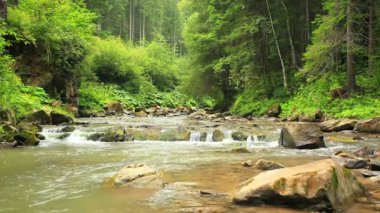 Taşlar ve yeşil ahşap küçük nehir