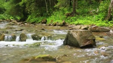 Küçük dağ nehir taşları ile yakın çekim
