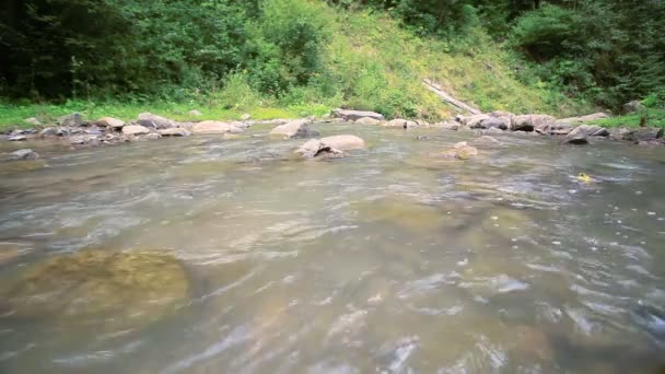 Kleine berg rivier in de zomer. Landschap, lage weergave — Stockvideo