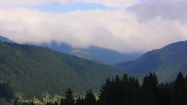 木材、山と雲。鳥なき風景します。時間の経過 — ストック動画