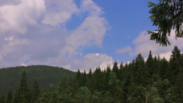 Berg hout en mooie blauwe hemel met wolken. Time-lapse — Stockvideo