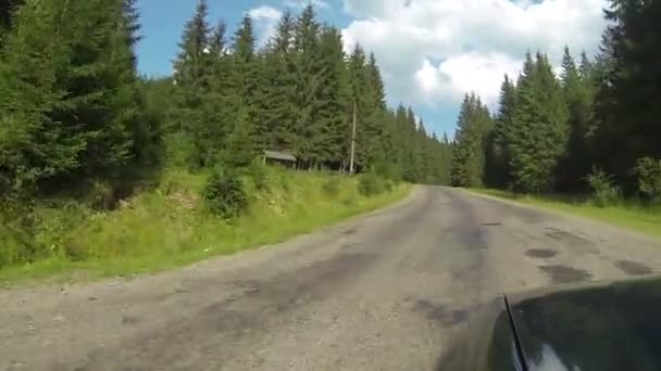 Bilen går på vägen mellan trä och bergen. Ukrainska Karpaterna landskap — Stockvideo