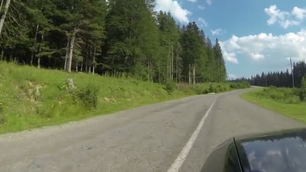 Carro vai na estrada entre madeira e montanhas. Cárpatos ucranianos paisagens — Vídeo de Stock