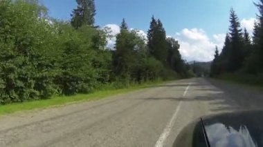 Araba ağaçların ve dağların arasında yola çıkıyor. Ukrayna Karpatları