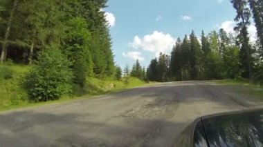Ahşap arasında Ukrayna Karpatlar araba yolda