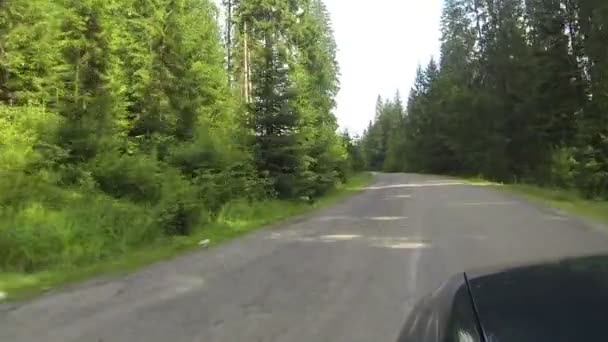 Bilen road i ukrainska Karpaterna bland trä — Stockvideo