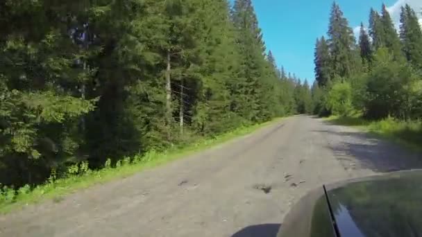 Xoar va sur la route rurale sur les collines. Carpates ukrainiennes POV — Video