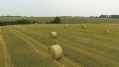 Saman ile tarım manzara. Anteni yavaş