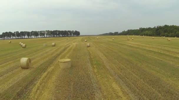 Agrarlandschaft mit Heu. Langsam aus der Luft — Stockvideo