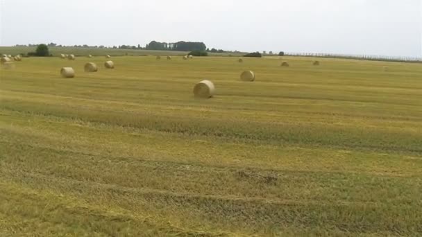 Paisaje agrícola con heno. Aérea lenta — Vídeo de stock