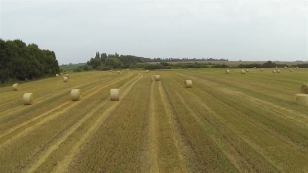 Agrarlandschaft mit Heu. Langsam aus der Luft — Stockvideo