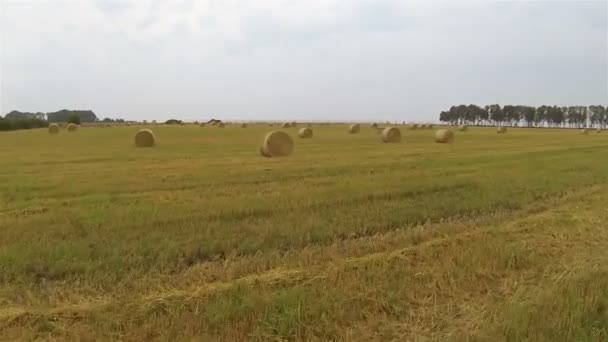 Paesaggio agricolo con fieno. Aereo lento — Video Stock