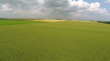 Uçuş Mısır güzel alanın üzerinde. Hava kırsal manzara