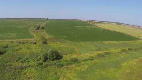 Прекрасні сільські райони з яскравими рослинами і деревами. Повітряний постріл — стокове відео