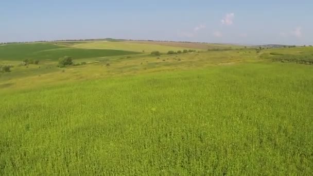 明るい植物と美しい農村部。空中ショット — ストック動画