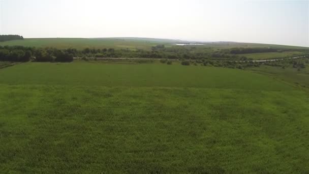 Grüne Wiese und Straße in der Ferne. Luftaufnahme — Stockvideo