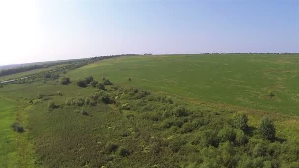 Groen veld en weg in de afstanden. Luchtfoto — Stockvideo