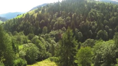 güzel ahşap dağ güneş ışığı altında. Hava atışı