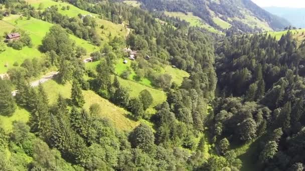 Langsom flyvning over træ i bjergene. Luftfoto – Stock-video