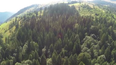 Ahşap Dağları üzerinde uçuş kadar yavaş. Hava atışı