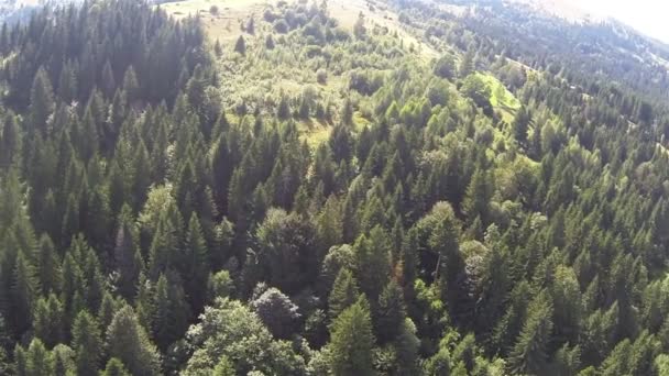 Voo lento sobre madeira verde nas montanhas. Panorama aéreo — Vídeo de Stock