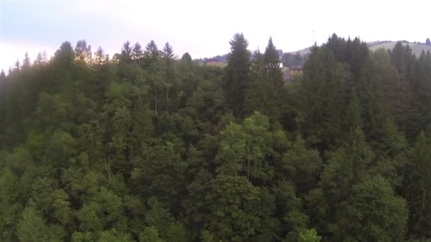 Hellingen met bomen in bewolkte dag. Luchtfoto — Stockvideo