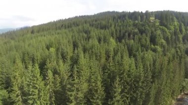 Uçuş güzel ahşap dağ Nehri Panoraması. Hava