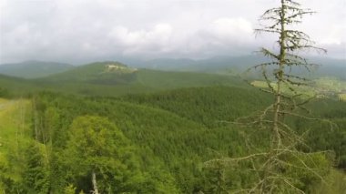 Dağ ahşap ile yanal yavaş uçuşta. Hava atışı