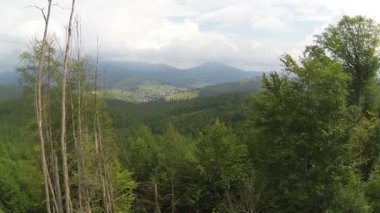 Uçuş güzel ahşap dağ Nehri Panoraması. Hava