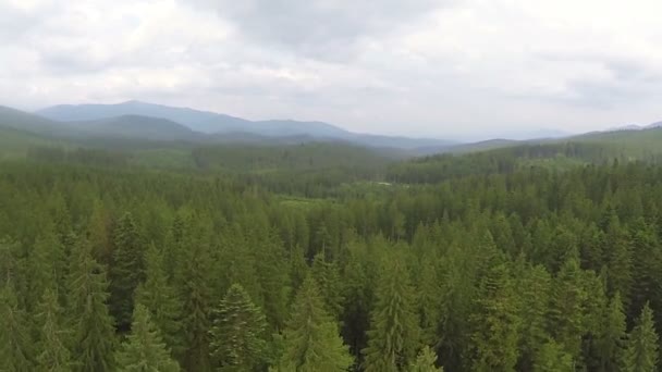 Wood, mountains and clouds on  horizon. Aerial  shot — Stock Video