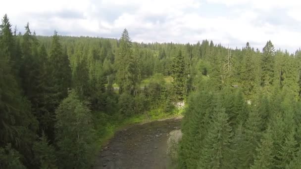 Schöner Gebirgsfluss in kleinem Tal inmitten von Wald. Luftaufnahme — Stockvideo