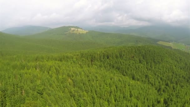 Mountain   with wood   .Aerial  shot in summer day — Stock Video