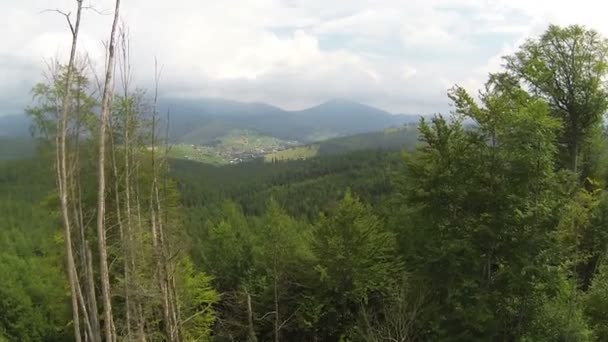 Vlucht panorama van berg rivier met prachtige hout. Luchtfoto — Stockvideo