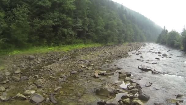 Flight over  mountain river with wood  in cloudy day Aerial — Stock Video