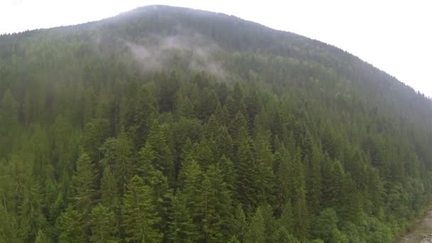Μικρό σύννεφο πάνω από το βουνό και το ξύλο. Εναέρια — Αρχείο Βίντεο