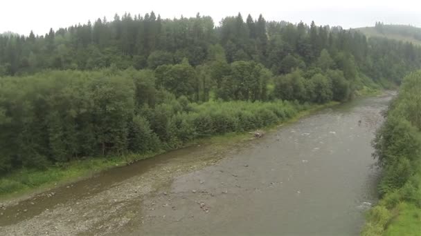 나무와 작은 산 강 비행입니다. 공중 — 비디오