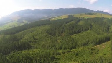 Uçuş ahşap ile dağlarda tepenin üzerinde. Hava