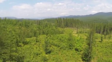 ahşap Dağları üzerinde uçuş. Doğanın güzelliği. Hava