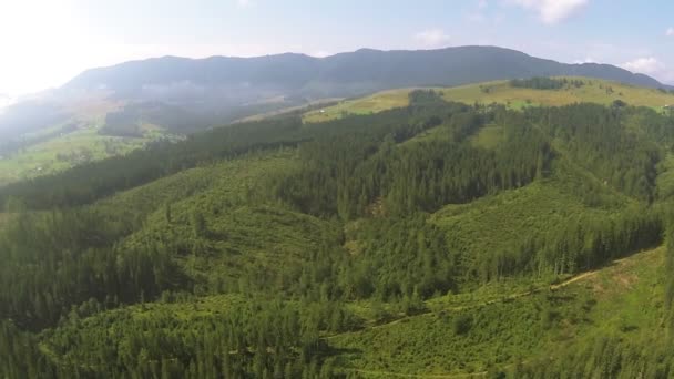Vlucht over heuvel in bergen met hout. Luchtfoto — Stockvideo