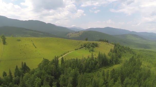 Vlucht omhoog over landelijke heuvelachtige gebieden met hout. Luchtfoto — Stockvideo